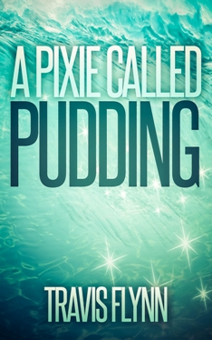 Cover image for A Pixie Called Pudding